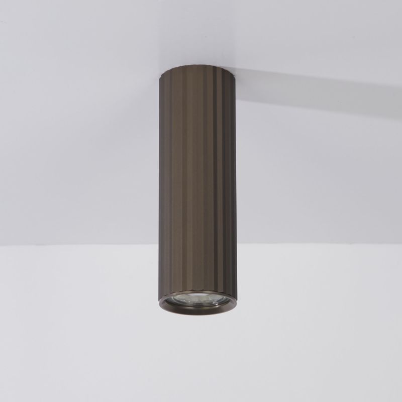 Anna Ceiling,  Bronze