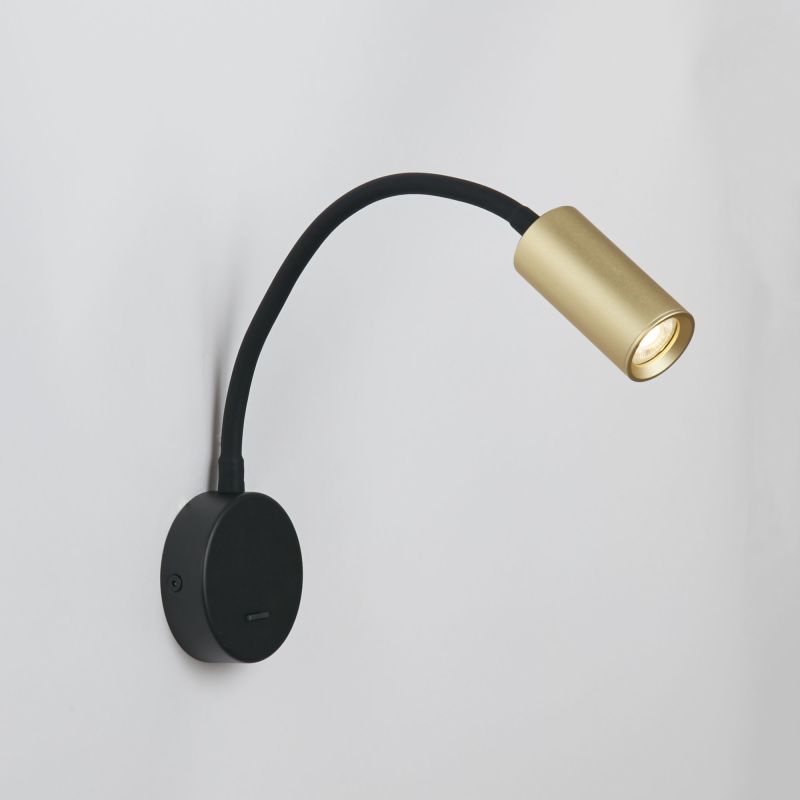 Ciara Reader, Gold & Black