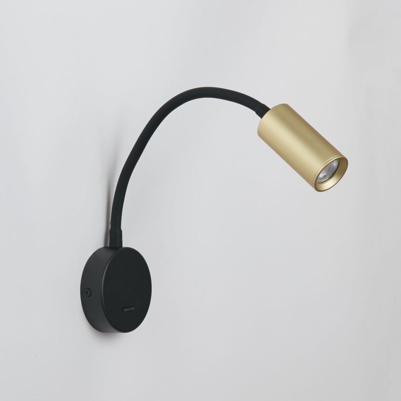 Ciara Reader, Gold & Black
