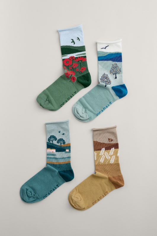 Gift Box of 4 Women's Scenic Sailor Socks 