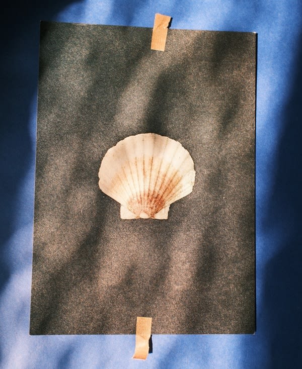 A photo of a shell on a black backround, which has been taped to a cobalt blue background