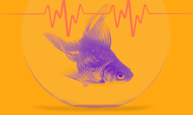 Artwork for Show Program