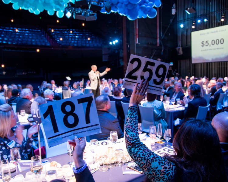 Institutional Supporters