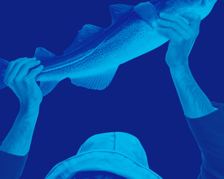 Help Come From Away Soar