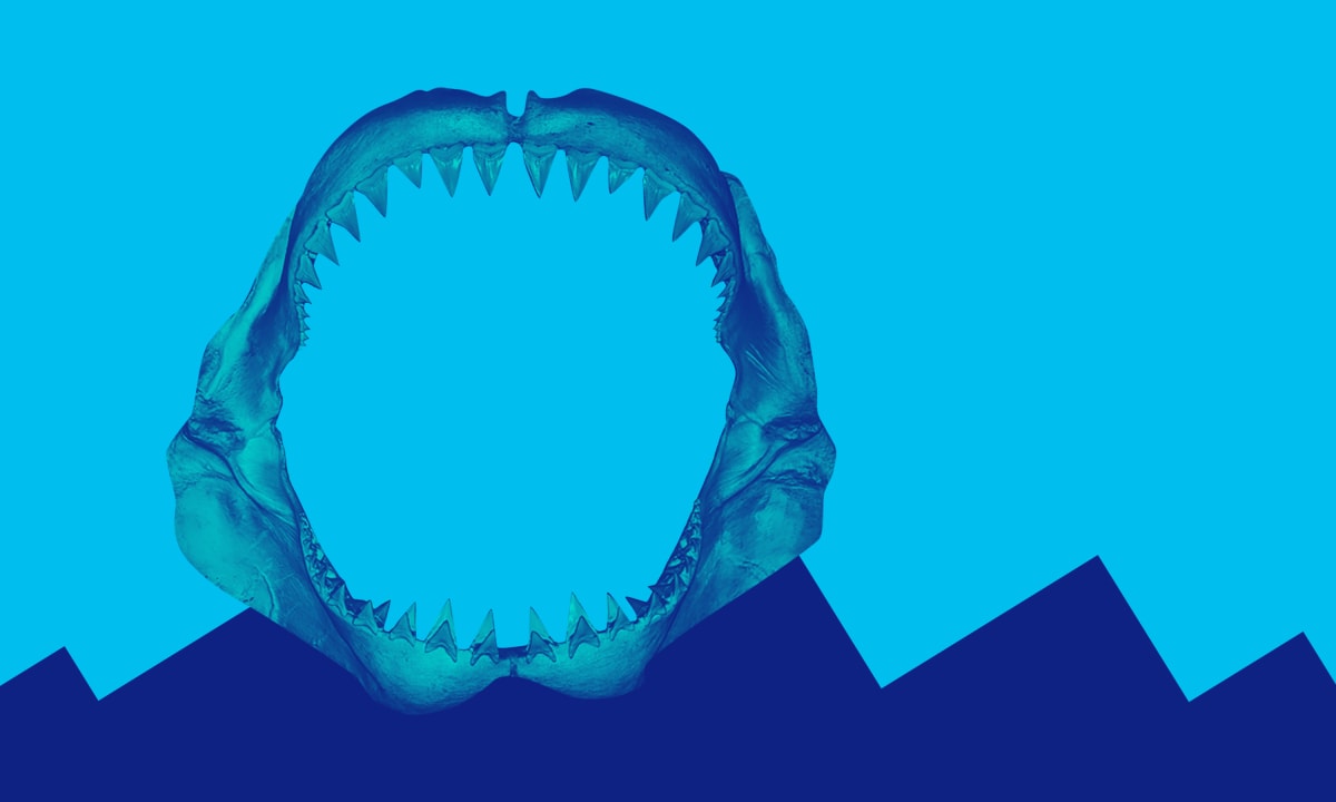 Image representing Tickets On Sale Now for the World Premiere Musical That Takes You Behind The Scenes of the World’s First Summer Blockbuster BRUCE 