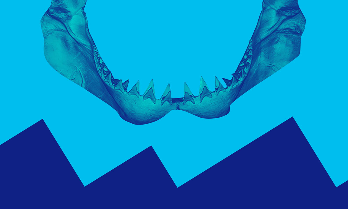 Image representing Tickets On Sale Now for the World Premiere Musical That Takes You Behind The Scenes of the World’s First Summer Blockbuster BRUCE