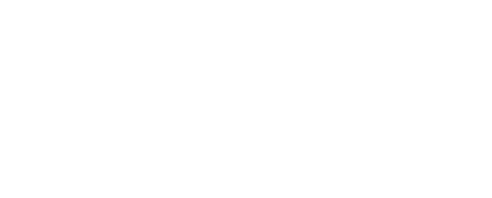 Sanctuary City