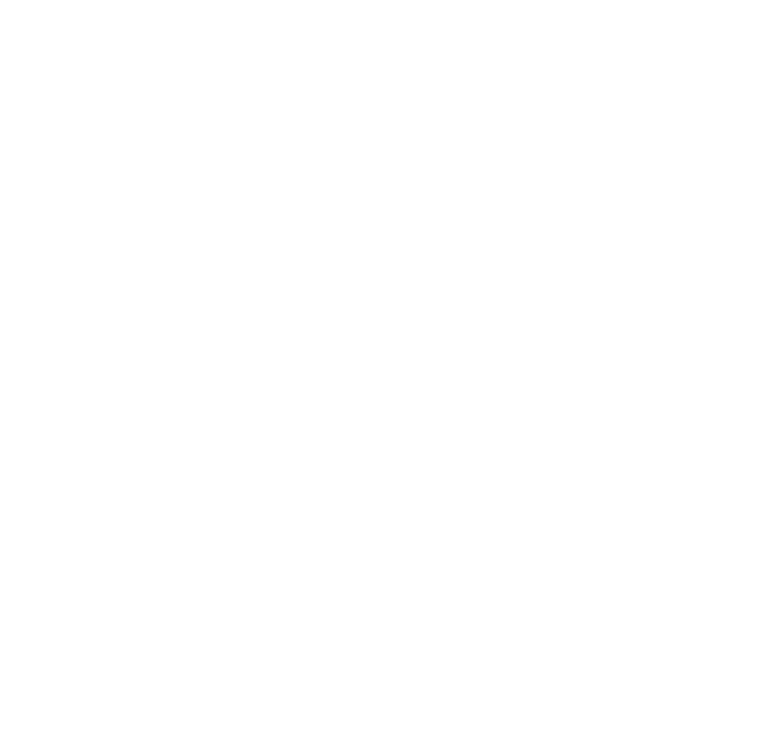The Outsiders