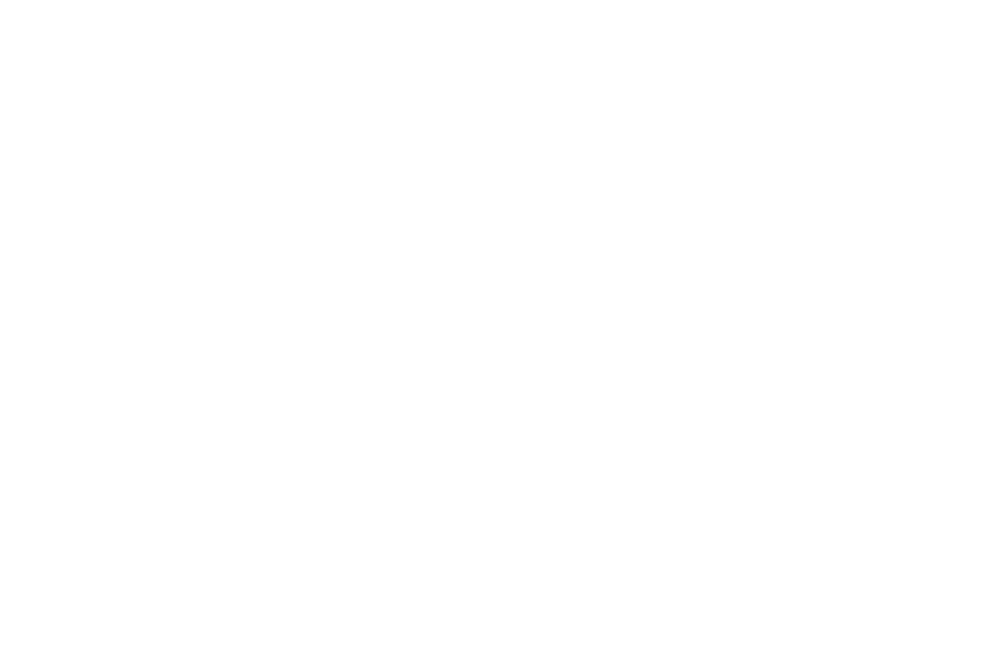 Sanctuary City