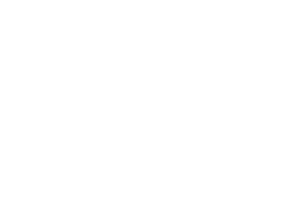 Freak The Mighty 