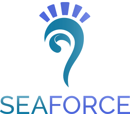 Seawalker Tech SeaKing web service ship.