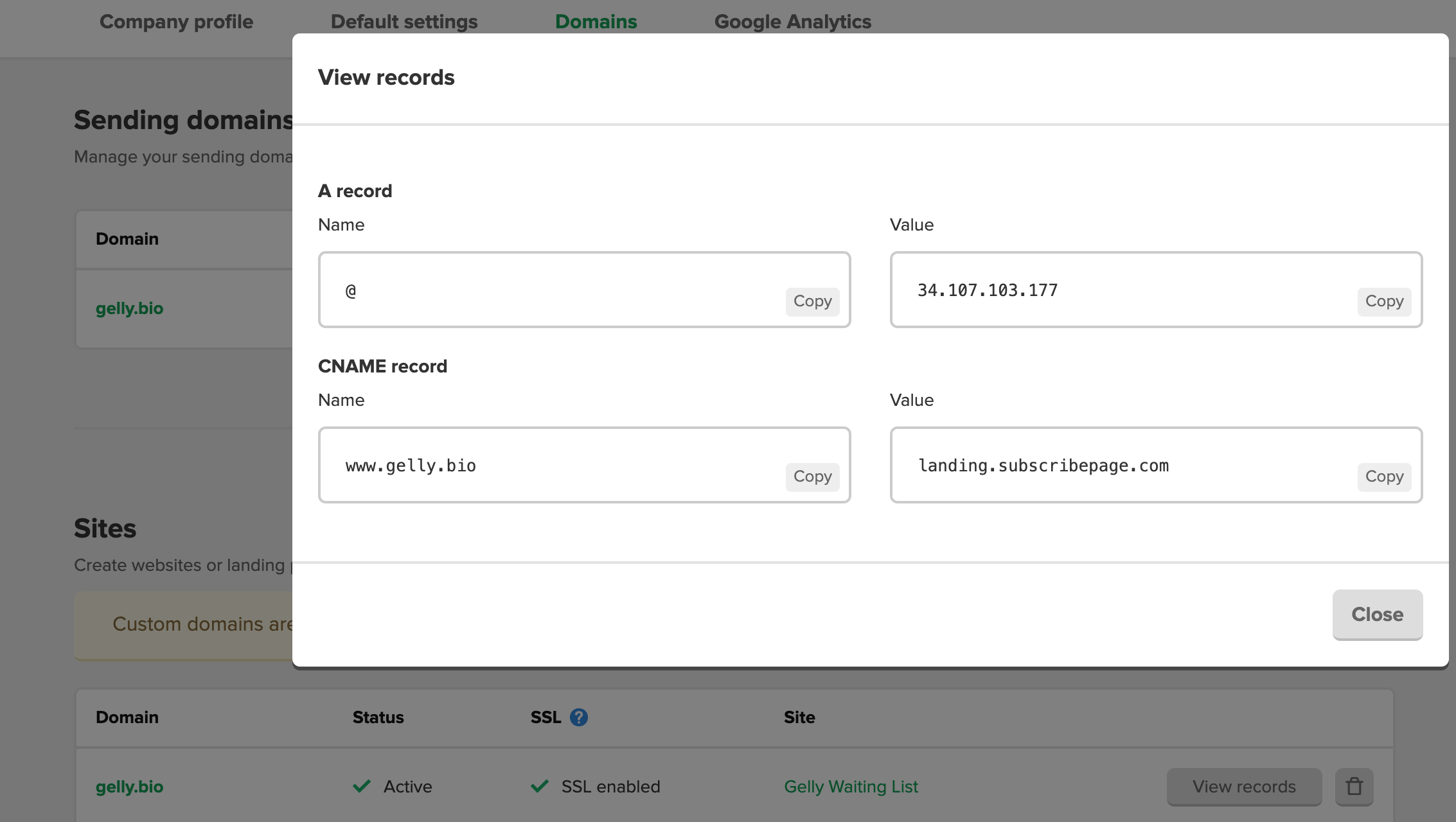 DNS settings page in Mailerlite.