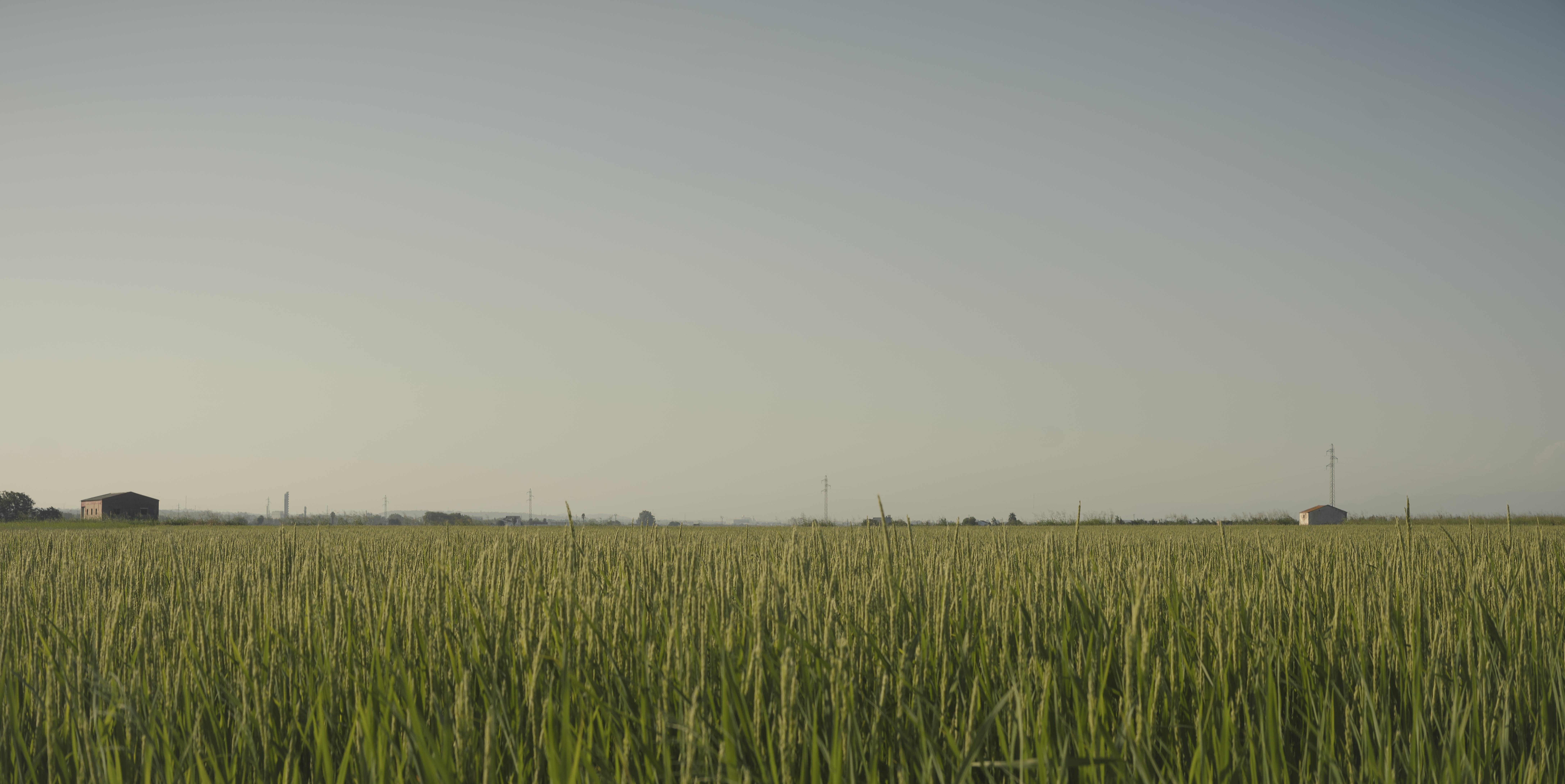 A field of green grass with a house in the distance.