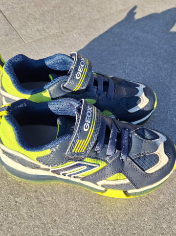 Geox Sneakers "Bayonyc" in Dunkelblau/ Grün