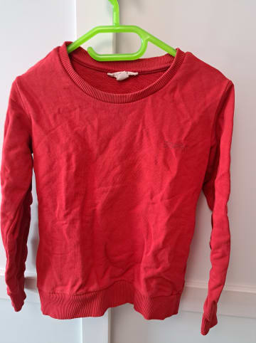 ESPRIT Sweatshirt in Rot