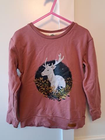 Walkiddy Sweatshirt in Pink