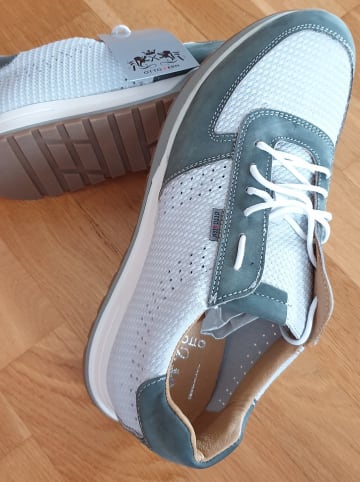 Otto Kern Leder-Sneakers in Weiß/ Oliv