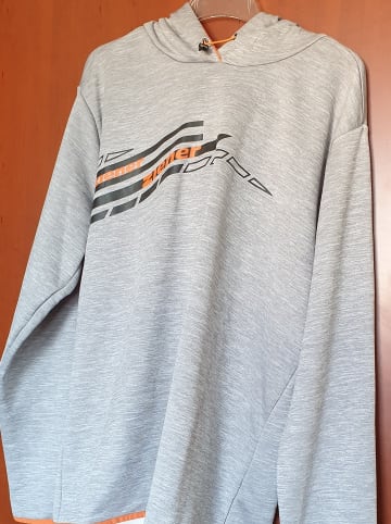 Ziener Fleecepullover "Team" in Grau
