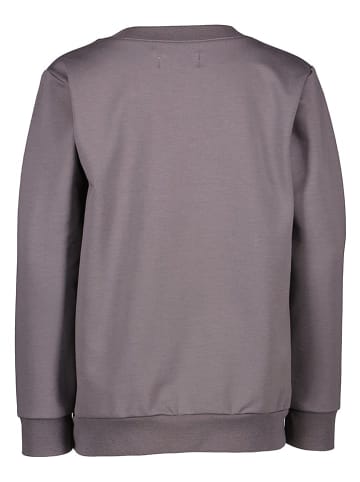 lamino Sweatshirt in Grau