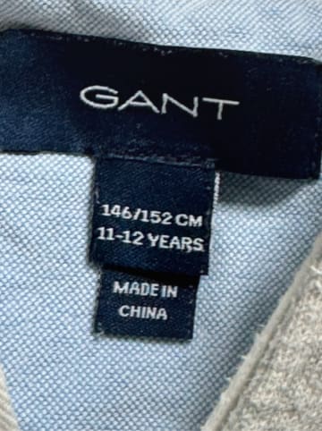 Gant Hoodie in Grau
