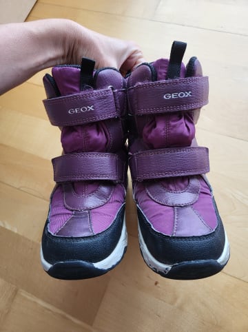 Geox Winterboots "Sentiero" in Aubergine