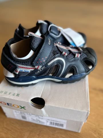 Geox Halbsandalen "Borealis" in Dunkelblau