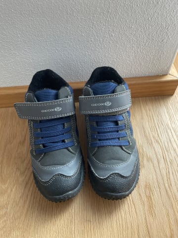 Geox Sneakers in Blau/ Grau