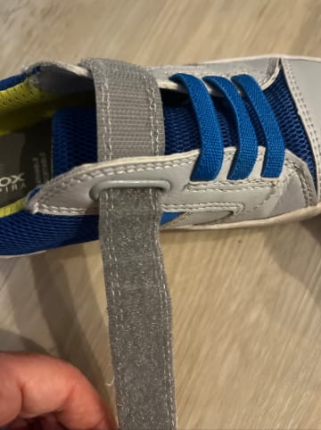 Geox Sneakers "Gisli" in Blau/ Grau