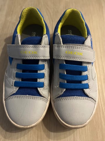 Geox Sneakers "Gisli" in Blau/ Grau