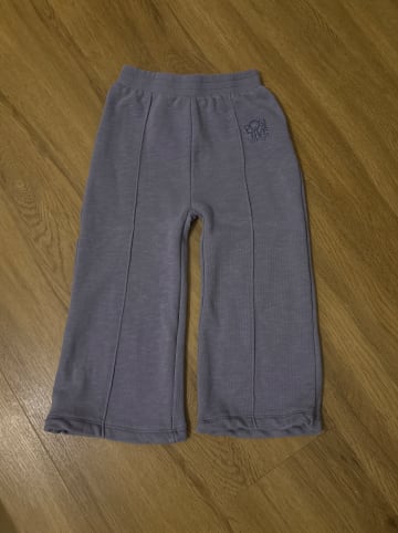 Sense Organics Sweathose "Jaane" in Grau