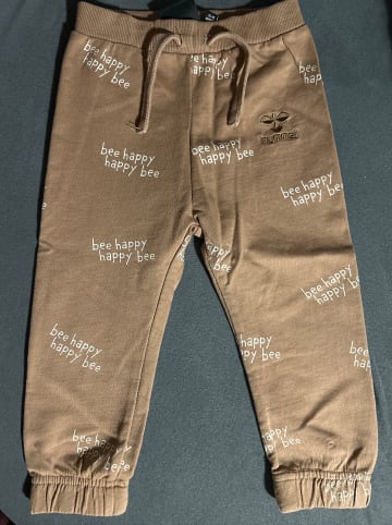 Hummel Hosen Hmldarcy Pants in BEAVER FUR