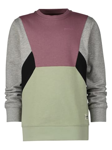 Vingino Sweatshirt "Nico" in Lila