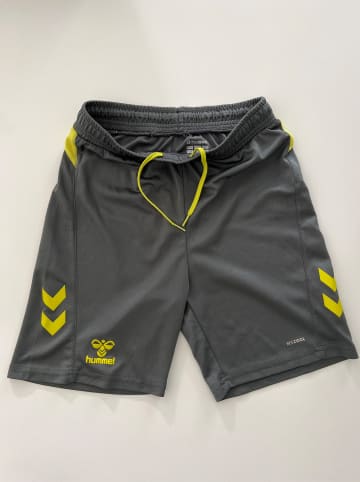 Hummel Trainingsshorts "Action" in Grau