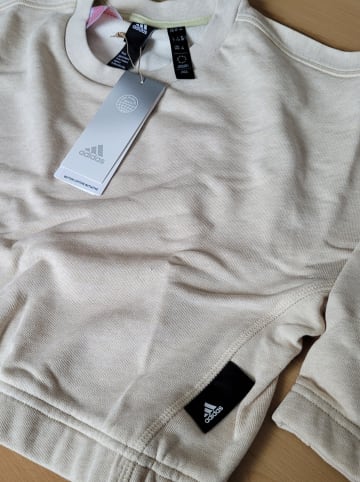 adidas Sweatshirt in Beige