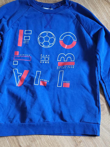 lamino Sweatshirt in Blau