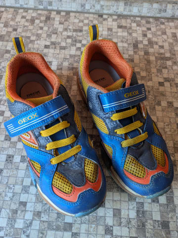 Geox Sneakers "Bayonyc" in Blau/ Orange