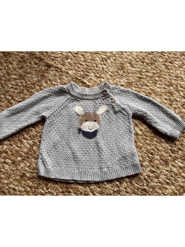 Sterntaler Strick-Pullover "Emmi" in Hellblau