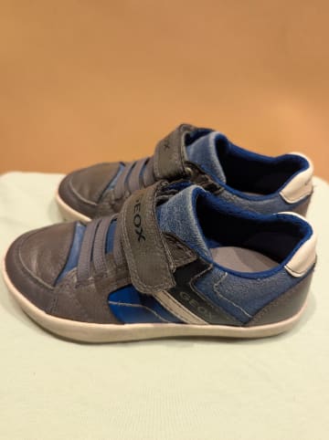 Geox Sneakers "Grisli" in Grau/ Blau