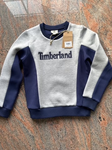 Timberland Sweatshirt in Grau und Blau