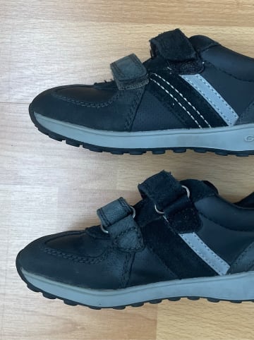 Geox Sneakers "Xitizen" in Schwarz