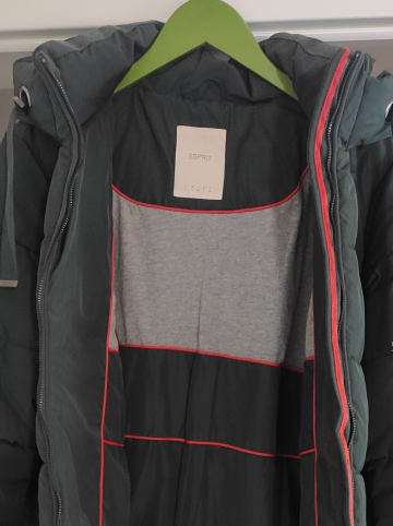 ESPRIT Winterjacke in Dunkelgrün