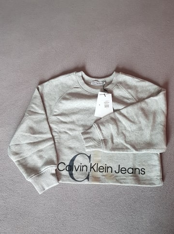 Calvin Klein Sweatshirt in Grau