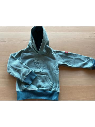 Trollkids Hoodie "Lillehammer" in Grün/ Blau