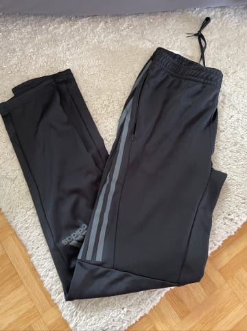 adidas Trainingshose in Schwarz