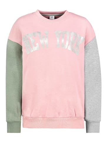 Sublevel Sweatshirt in Bunt