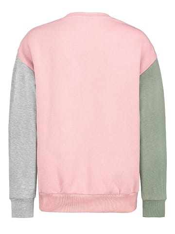 Sublevel Sweatshirt in Bunt