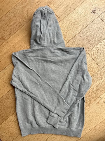 Chiemsee Hoodie in Grau