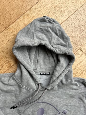 Chiemsee Hoodie in Grau