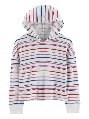 carter's Hoodie in Grau/ Blau/ Rot