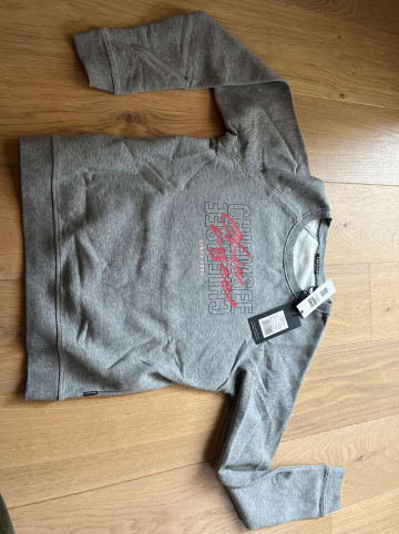 Chiemsee Sweatshirt in Grau